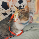 brokensoulbaby avatar