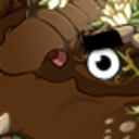 bromeliadgoingdragon avatar