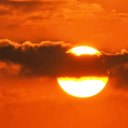 bronzedsunset avatar