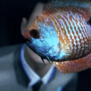 brooke-beaches avatar