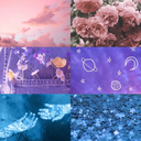 brooklyn-illio avatar