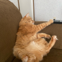 brooklynbooks07 avatar