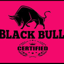 brooklynbull718 avatar