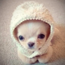 brooklynnbabbyyy avatar