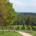 brooklynnbrooklyn avatar