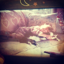 brooklynpalmer-blog-blog avatar