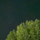 broomwithaview avatar