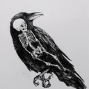 broos666 avatar