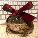 broseidon-kingofthebrocean avatar