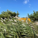 brother-christ avatar