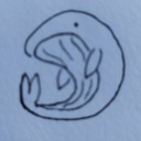 brother-fishbait avatar