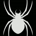 brotherblaccspider avatar