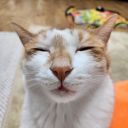 brotherdoongie avatar