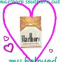 brotherdubious avatar