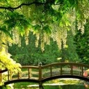 brotherhoodoftofuv2 avatar