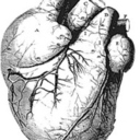 broughttoyoubywaves avatar