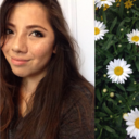 brovolone-cheese avatar