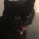 brown-and-blue-eyes avatar