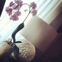 brownbuttah-blog avatar