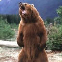 browneyedbearsworld avatar