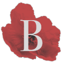 browniesgraphics avatar