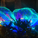 brownskinfaerie avatar