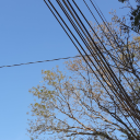 brownsugarloverz avatar