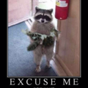 browsing406-blog-blog-blog avatar