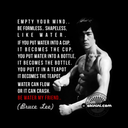 brucelee1940 avatar