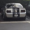 brucemaidenbryant24 avatar