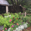 brucesalinger avatar