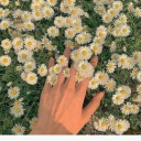 brucetwinksteen avatar