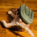 bruised-alcoholic avatar