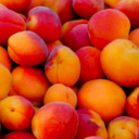 bruisedleaves avatar