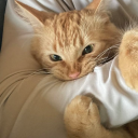 brun-brunette avatar