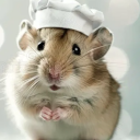 brunchrodent avatar