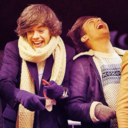 brunettelovesonedirection avatar