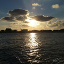 bruno-colombi avatar