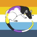 brunosqueerrat avatar