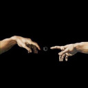 brunoumfalsopoeta avatar