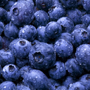 brutalberries avatar