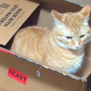 brutalpetunia avatar