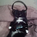 brwneyedbinch avatar