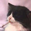 brxndonsstuff avatar