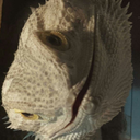 bryan367ghost avatar