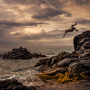 bryanderballaphoto avatar