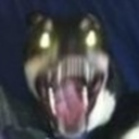 brycelovescats avatar