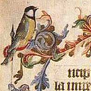 bryd-one-brere avatar