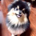 btothettothes avatar