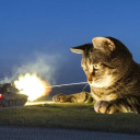 btrandkittens avatar